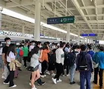 SHIB创下年内新高，上扬幅高达20.2%，还能追吗？